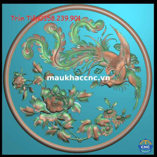 phượng tròn 